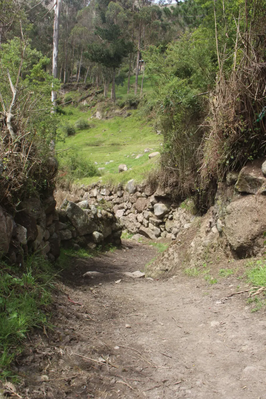 Qhapaq Ñan en Alausí: camina por las huellas del Imperio Inca