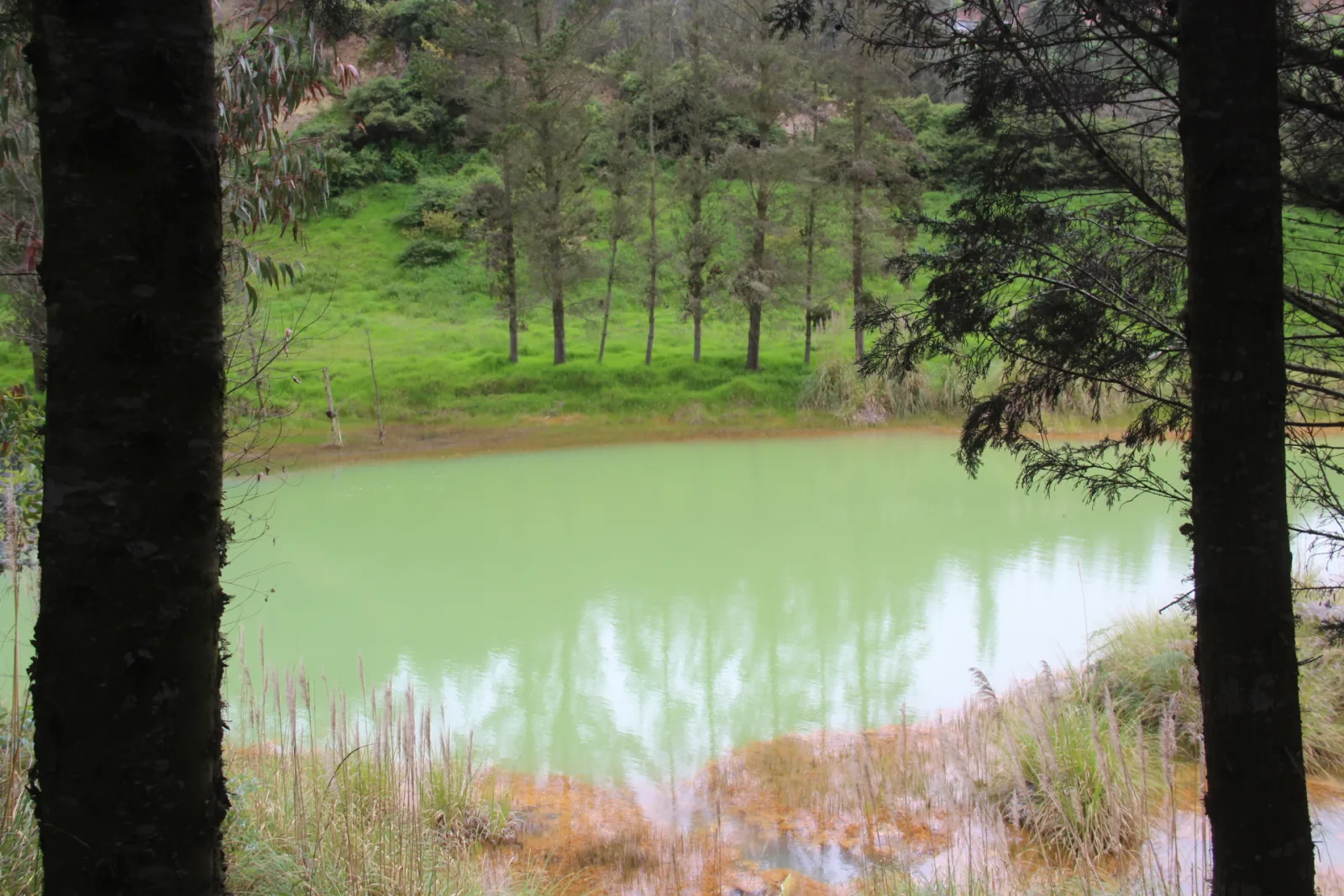 Laguna de la Bola de Oro: naturaleza y leyenda en Tixán